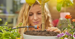Dryppvanning er en smart måte å gi planter, plen eller hekk riktig mengde vann til enhver tid. Med et dryppvanningssett sparer du både tid og vann, og i dette blogginnlegget gir vi noen gode råd til deg som har lyst til å komme igang med dryppvanning.